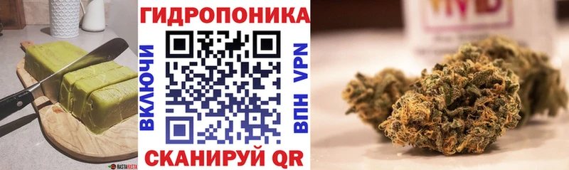 Canna-Cookies марихуана  наркошоп  Вышний Волочёк 