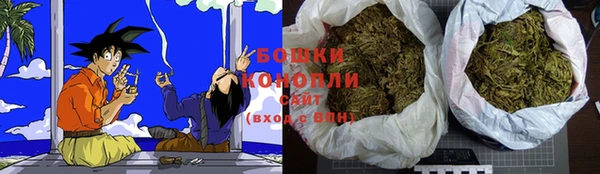 apvp Богородицк
