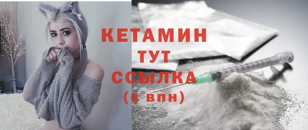 стаф Аркадак