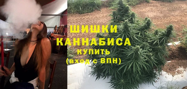 стаф Аркадак