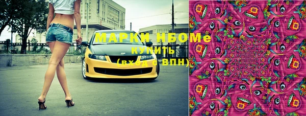 стаф Аркадак