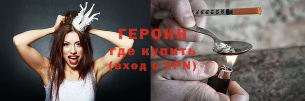 гидра Арсеньев