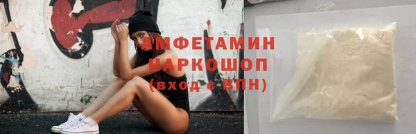 стаф Аркадак