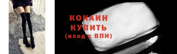 гидра Арсеньев