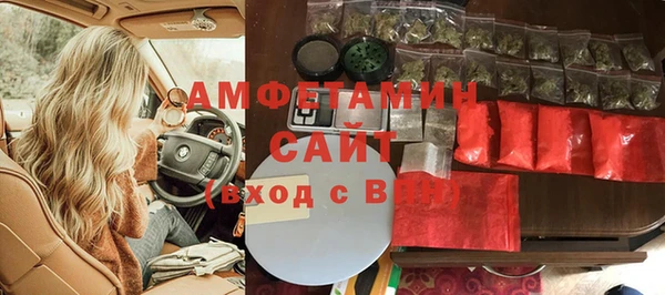 стаф Аркадак