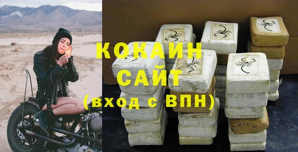 гидра Арсеньев