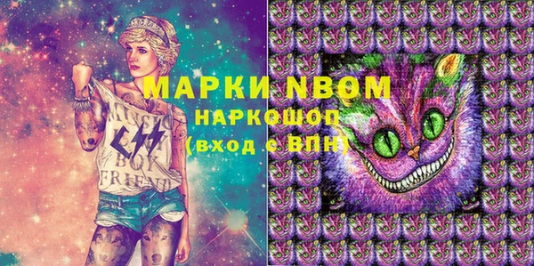 стаф Аркадак