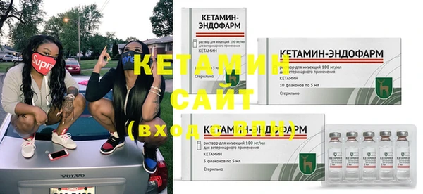 стаф Аркадак