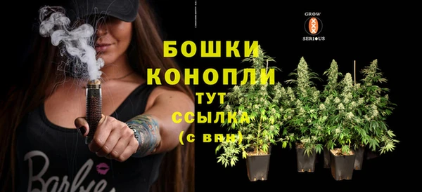 apvp Богородицк