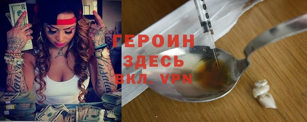 гидра Арсеньев